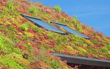 Merriott living roof systems